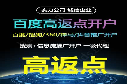 竞价账户优化：成功企业的广告策略揭秘